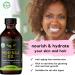 Nourish & Strengthen Hair from Inside Out with Moringa Oil & Capsules - Mother Nature Organics - Healthy Hair Growth - Buy Online on SooperMarket.com