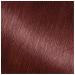 Garnier Nutrisse 452 Dark Reddish Brown Hair Dye 3-Pack - Chocolate Cherry Shade - Buy Online on SooperMarket.com