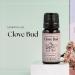 Nikura Clove Essential Oil - 10ml | Pure Natural Clove Bud Oil for Toothache Relief | Aromatherapy Diffuser & Self Care Cleaning | Vegan, UK Made - Buy Online on SooperMarket.com