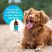 PupRepublic Fast Acting dog diarrhea treatment - Digestive Disorders - More Effective than Kaolin - Sickness & Allergy Relief for Dogs of All Breeds & Sizes 250 ml (Pack of 1) - Buy Online on SooperMarket.com