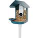 Bird Buddy Original 3-in-1 Feeding Set | Water Fountain Fruit Skewer & Jelly Tray - Blue Color | International Shipping - Buy Online on SooperMarket.com