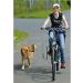 Buy Doggy Guide Bicycle Holder - Universal Pet Bike Attachment for Safe Rides | Free International Shipping - Buy Online on SooperMarket.com