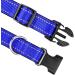 Joytale Reflective Dog Collar for Large Dogs - Royal Blue (Pack of 1) | Durable & Comfortable | International Shipping Available - Buy Online on SooperMarket.com