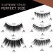 Lamora Reusable Magnetic Lashes | Waterproof Eyeliner & Applicator Kit | No Glue False Eyelashes | International Shipping - Buy Online on SooperMarket.com