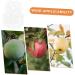 Kisangel 2pcs Shaped Fruit Novel Shaping Adorable Forming Shaper Accessories Watermelon - Buy Online on SooperMarket.com