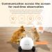obexx Smart Pet Camera  Smart Companion Robot for Pets  Dog Treat Dispenser  Movable 1080P Full HD WiFi pet Camera Night Vision  2way Video via Smart Phone App (2.4G WiFi ONLY) White - Buy Online on SooperMarket.com