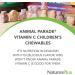 NaturesPlus Animal Parade Vitamin C Chewable Tablets for Kids - Vegan Gluten-Free - Natural Orange Flavor - 90 Animal-Shaped Tablets (Pack of 2) - Boost Immunity - Buy Online on SooperMarket.com