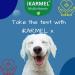 Doggy Dailies Vitamins & Supplements for Dogs | Skin & Coat, Probiotics, Joint Support | 24 Vitamins & Minerals | Puppy to Senior Multivitamin - 180 Count - Buy Online on SooperMarket.com