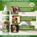 Adema Natural Petbath - Best Dog Shampoo for Itching Fleas Mites & Lice - 200ml Natural Formula for Dogs & Puppies - Buy Online on SooperMarket.com