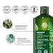 Yves Rocher Fortifying Density Shampoo - Cleanse Scalp & Strengthen Hair | 10.1 fl oz - International Shipping Available - Buy Online on SooperMarket.com