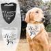 WLLHYF My Humans are Getting Married She Said Yes Dog Bandana Pets Scarf Triangle Bibs Kerchief Set Wedding Photo Prop Decoration Pet Costume Accessories for Dog Lovers Small Medium Large Dogs Cats - Buy Online on SooperMarket.com