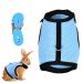 Tibapla adjustable rabbit dishes with elastic leash tow leash for small animals mesh rabbits dishes kitty dishes and leash for bunny cat little pet small animal (blue m) m blue