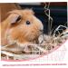 Rabbit Rack Feeder for Cage Holder for Rabbits Pet Feeder Metal Rack Metal Feeder Feeder Hamster Holder Cage Guinea Pig Wrought Iron Ferrets - Buy Online on SooperMarket.com