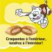 TEMPTATIONS Adult Cat Treats Hearty Beef Flavour 454g Tub Cat Treats Beef 454 g (Pack of 1) - Buy Online on SooperMarket.com