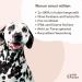 Amusi Neem l Tick Spray for Dogs 250ml | Natural Vegan Tick Protection Insect Spray - Paraben & Nickel Free - Buy Online on SooperMarket.com