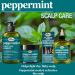 Difeel Peppermint Hot Oil Treatment for Dry Scalp - 7.1 oz | Soothes Irritation & Flakes - Buy Internationally - Buy Online on SooperMarket.com
