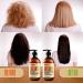 Moroccan Argan Oil Shampoo and Conditioner Set - SLS Sulfate Free - Ideal Gift for Damaged, Dry, Curly, or Frizzy Hair - Thickening Formula for Fine/Thin Hair - Safe for Color & Keratin Treated Hair - Buy Online on SooperMarket.com