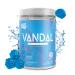 VNDL Pre Workout Powder for Men & Women- Enjoy a Clean Energy Boost with No Sugar Featuring L-Citrulline & L-Tyrosine for Improved Endurance- Nootropic Formula in Blue Razz Gummies Flavor - 40 Servings