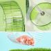 Hamster Wheel Silent Hamster Wheel Quiet Hamster Wheel Hamster Exercise Wheel Adjustable Stand Silent Hamster Wheel for Hamsters Gerbils Mice Small Animals ( 6.7 inch Transparent) 6.7 inch Transparent - Buy Online on SooperMarket.com