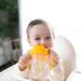 Dr. Brown's Milestones Baby's First Straw Sippy Cup 6m+ 9 oz Vintage Yellow - Buy Online on SooperMarket.com