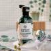 Tea Tree Skin Clearing Body Wash by The Body Shop - 8.4oz - For Oily, Blemished Skin - Buy Online on SooperMarket.com