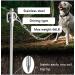 Durable Stainless Steel Dog Mooring Stake | Strong & Reliable for Yard Camping & Beach - Buy Online on SooperMarket.com
