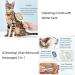 Cabbage Pets Sticky Brush 2.0 for Cats - 4 in 1 Universal Pet Knot Remover Cat Brush with Wet Wipes & Leave-In Essence - Best Cat Grooming Tool - Buy Online on SooperMarket.com