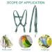 Ruqias Pet Bird Harness Leash for Macaw Cockatoos with Buckle Adorable Rainbow Design Safe Parrot Leash Pet Harness Outdoor Adjustable Anti Bite Training Rope for Macaw Large Size Bird L Green - Buy Online on SooperMarket.com