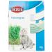 TX-4235 Cat Grass bowl 100Gr 100 g (1 pack)