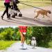 Philorn Super Elastic Freehand Dog Leash 120-170 cm with Belt Pocket - Jogging Leash for Large Dogs Up to 65 kg Reflective & Bungee Design - Perfect for Active Dog Owners - Buy Online on SooperMarket.com