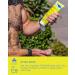 TRISWIM Chlorine Out Body Wash & Lotion Gift Set Citrus 8.5 Fl Oz - Pack of 2 - Buy Online on SooperMarket.com