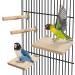 QUOZUO Bird Perches Stand Platform Natural Wood Parrot Toy Perch Stand Budgie Cage Accessories for parakeets Cockatiel Parrot - Buy Online on SooperMarket.com