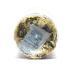 Huangshan Gongju Yellow Chrysanthemum Tea - 30g | Herbal Beauty & Skin Care Health Benefits | Premium Chinese Flower Tea - Buy Online on SooperMarket.com