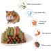 Buy Metagio 50-Piece Timothy Hay Sticks for Rabbits | Chew Toys for Guinea Pigs Hamsters & Chinchillas | 3 Delicious Flavors - International Shipping Available - Buy Online on SooperMarket.com