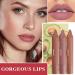 Fusang 3Pcs Nude Matte Lipstick Set - Long Lasting & Nourishing Lipgloss Set (Set B) - Buy Online on SooperMarket.com