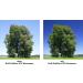 B+W 82mm Kaesemann Circular Polarizer Filter - High Transmission, MRC Nano Glass - Buy Online on SooperMarket.com