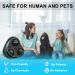 Jinglebely Ultrasound Mouse Defense - Effective Pest Control for Mice Cockroaches Rats and More | Interior Protection up to 200 - Black - Buy Online on SooperMarket.com