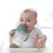 Dr. Brown's Milestones Baby's First Straw Cup 6m+ | Olive Green Sippy Cup 9oz/270ml - Buy Online on SooperMarket.com