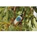 L'Occitane 15% Shea Butter Body Lotion | Nourishing & Protective Moisturizer | 8.4 Fl Oz - Buy Online on SooperMarket.com