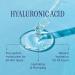 Buy Marcelle 2% Hyaluronic Acid + Probiotic Serum | Vegan Cruelty-Free Oil-Free Hypoallergenic - International Shipping Available - Buy Online on SooperMarket.com