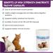 Pancreatic Digestive Enzyme Capsules for Dogs & Cats - Amylase and Lipase Health Supplement for Dog & Cat | 100 Capsules - Buy Online on SooperMarket.com