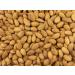Gorilla Food Co. Natural Almonds Whole Raw Californian Extra No.1 Grade - 200g - Buy Online on SooperMarket.com