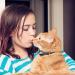 Handmade Leather Cat Neck Straps with Bells - Adjustable Durable 8-Piece Set for Small Pets | Perfect for Indoor & Outdoor Use - Buy Online on SooperMarket.com
