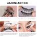 AYNKH Magnetic Eyelashes with Applicator Natural Look No Glue Needed Reusable Lashes Kit without Eyeliner Easy to Wear and Remove for All-Day Comfort Multi Style to Choose (Nature) - Buy Online on SooperMarket.com