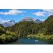 Honeyholics Patagonia Mountain Raw Unpasteurised Honey 100 APF Immune Support - Buy Online on SooperMarket.com