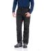 TRAILSIDE Mens Ski Snow Snowboard Pants - Wind/Waterproof Insulated Black (018) Large - Buy Online on SooperMarket.com