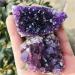 Natural Amethyst Cluster Quartz Crystal geode Specimen Suitable for Home HOMEZHOU (Size : 160-190g) - Buy Online on SooperMarket.com