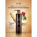 RGIII Premium Red Ginseng Hair Loss Prevention Shampoo & Treatment Set - Buy Online on SooperMarket.com