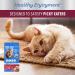 IAMS PROACTIVE HEALTH HEALTHY ENJOYMENT Adult Dry Cat Food Chicken & Beef Recipe 1.36kg Bag 1.36 kg (Pack of 1) - Buy Online on SooperMarket.com