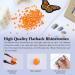 Briskbloom 3000PCS Orange AB Resin Flatback Rhinestones - 2mm-6mm - for Tumblers, Mugs, Bottles, Craft Decoration - Loose Bling Gem Stones - Buy Online on SooperMarket.com